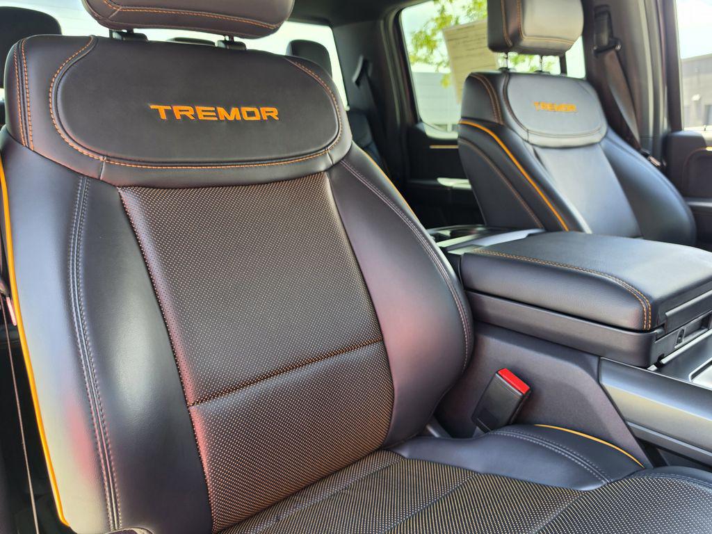 2025 Ford F-150 Tremor - Photo 32