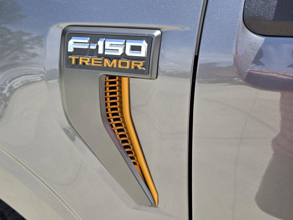 2025 Ford F-150 Tremor - Photo 44