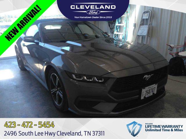2024 Ford Mustang EcoBoost Premium Convertible for sale in Cleveland, TN