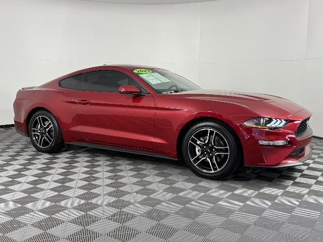 2023 Ford Mustang EcoBoost Fastback for sale in Tarpon Springs, FL