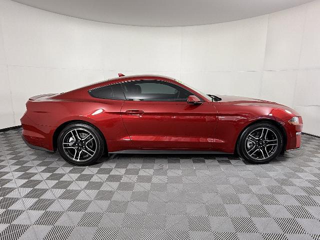 2023 Ford Mustang EcoBoost Fastback