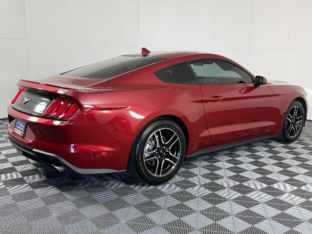 2023 Ford Mustang EcoBoost Fastback