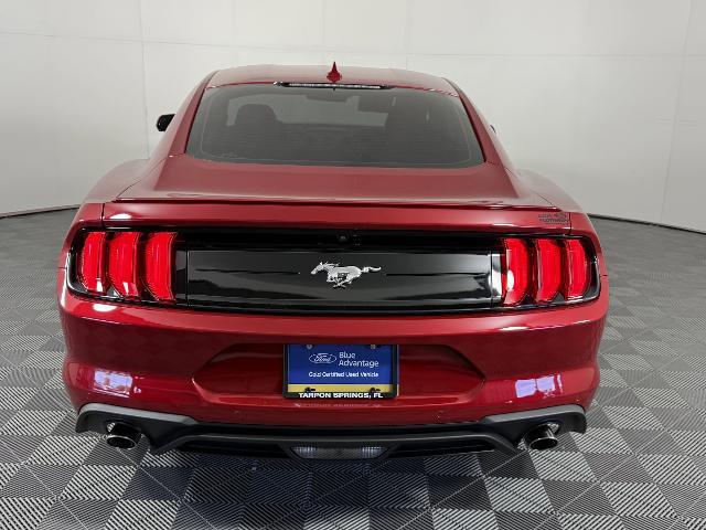 2023 Ford Mustang EcoBoost Fastback