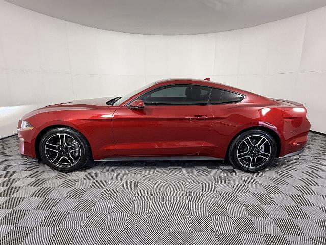2023 Ford Mustang EcoBoost Fastback