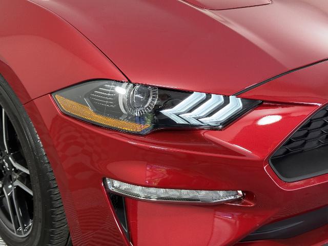 2023 Ford Mustang EcoBoost Fastback