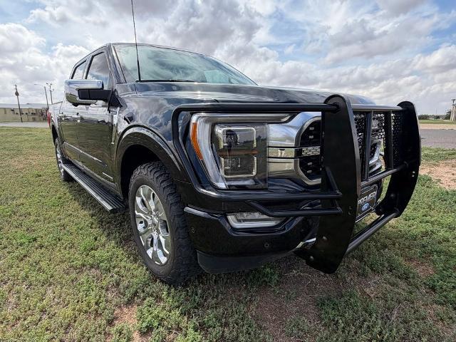 2021 Ford F-150 Platinum for sale in Lamesa, TX