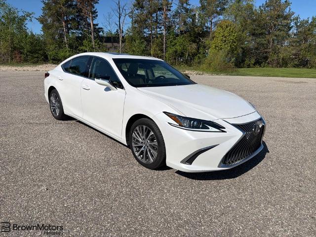 2021 Lexus ES 250 250 for sale in Petoskey, MI