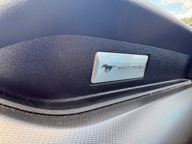 2022 Ford Mustang GT Premium Fastback