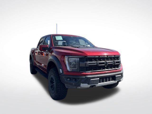 2023 Ford F-150 Raptor for sale in OGDEN, UT