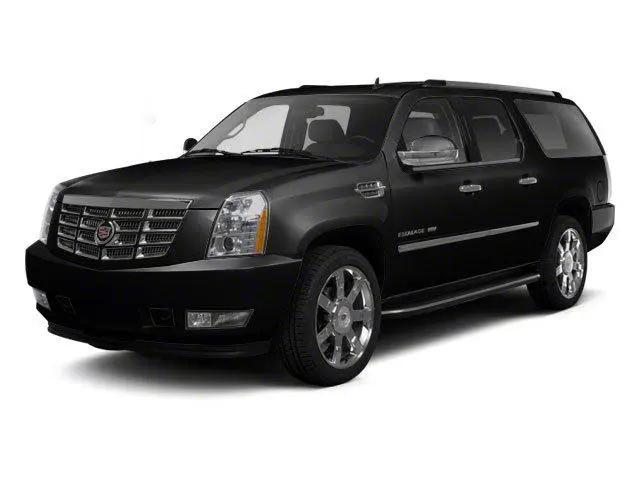 2010 Cadillac Escalade ESV Platinum Edition for sale in Mankato, MN