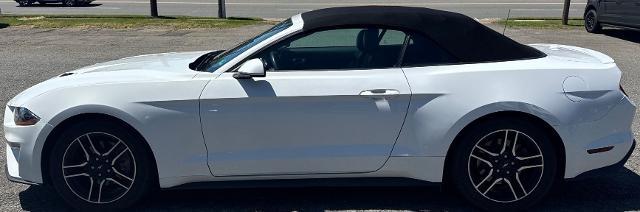 2022 Ford Mustang EcoBoost Premium Convertible