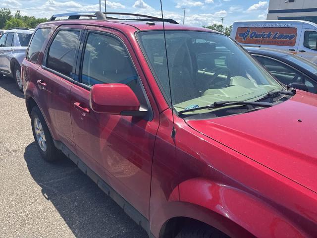 2011 Ford Escape Limited