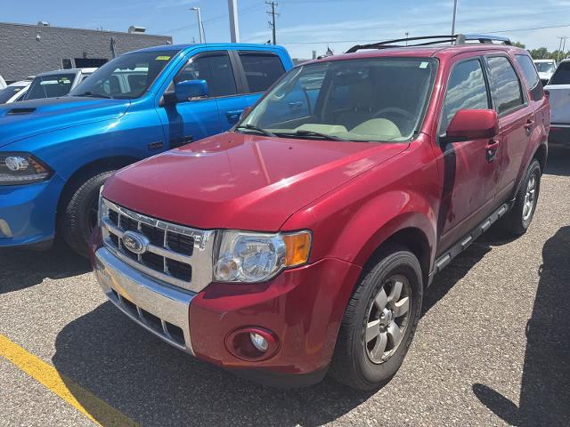 2011 Ford Escape Limited