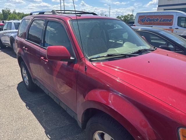 2011 Ford Escape Limited