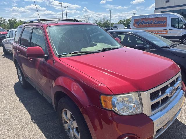 2011 Ford Escape Limited