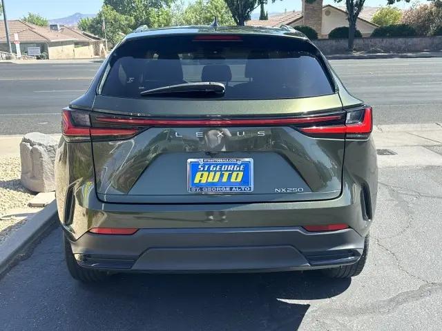 2022 Lexus NX NX 250