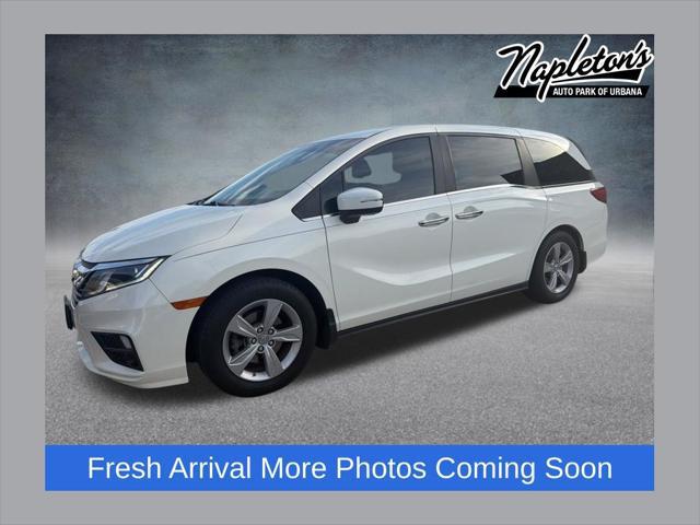 2019 Honda Odyssey EX-L for sale in URBANA, IL