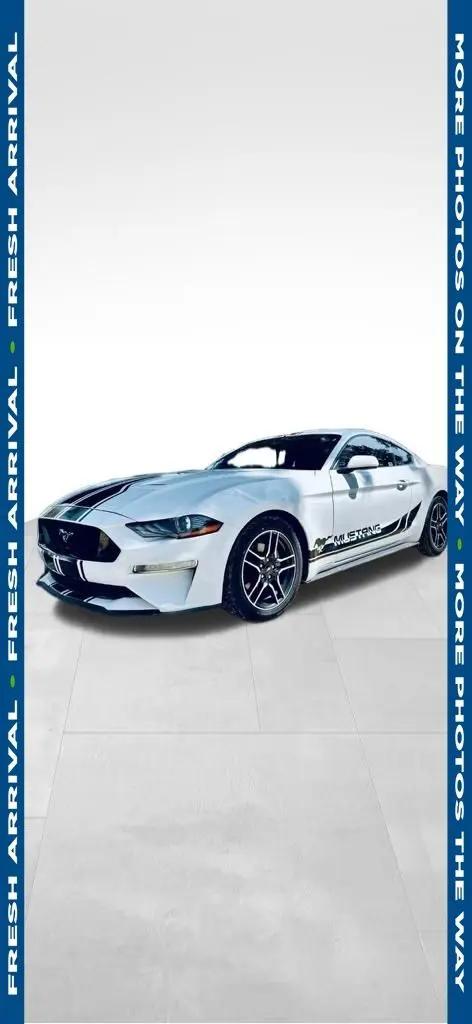 2019 Ford Mustang EcoBoost for sale in Hiawatha, IA