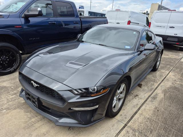 2019 Ford Mustang EcoBoost for sale in Dickinson, TX