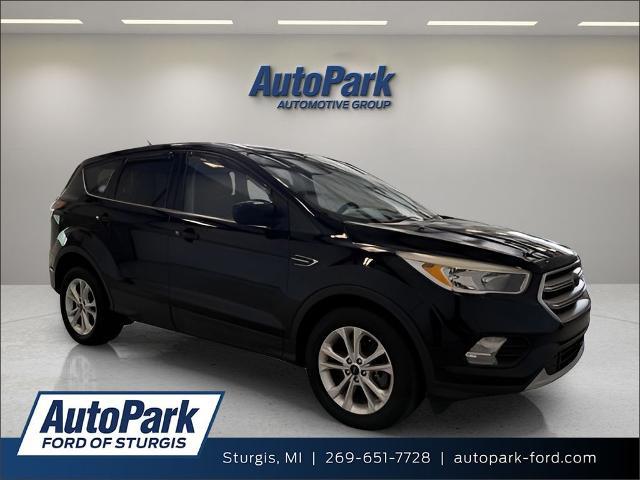 2017 Ford Escape SE for sale in Sturgis, MI