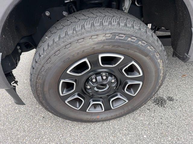 2024 Ford F-250 Platinum