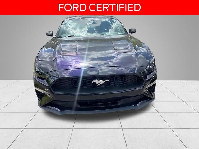 2023 Ford Mustang EcoBoost Premium Fastback
