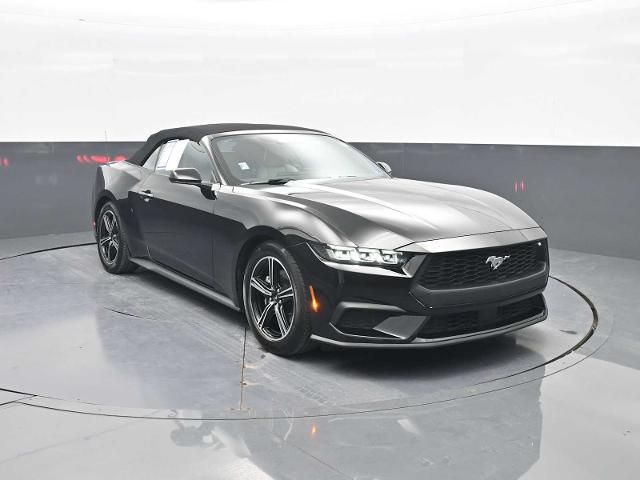 2025 Ford Mustang EcoBoost Premium Convertible for sale in Front Royal, VA