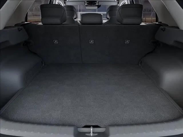 2024 Kia Niro EV Wave