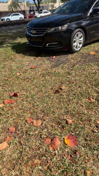 2020 Chevrolet Impala FWD LT