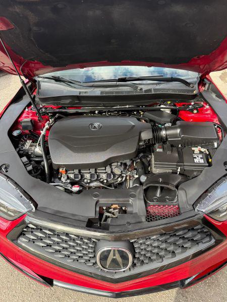 2019 Acura TLX Tech & A-SPEC Pkgs
