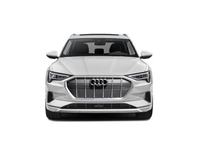 2019 Audi e-tron Premium Plus