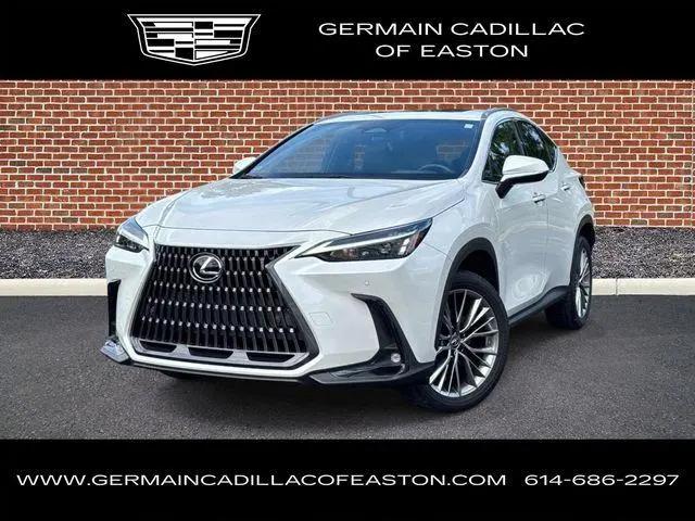 2022 Lexus NX 350 Premium for sale in Columbus, OH