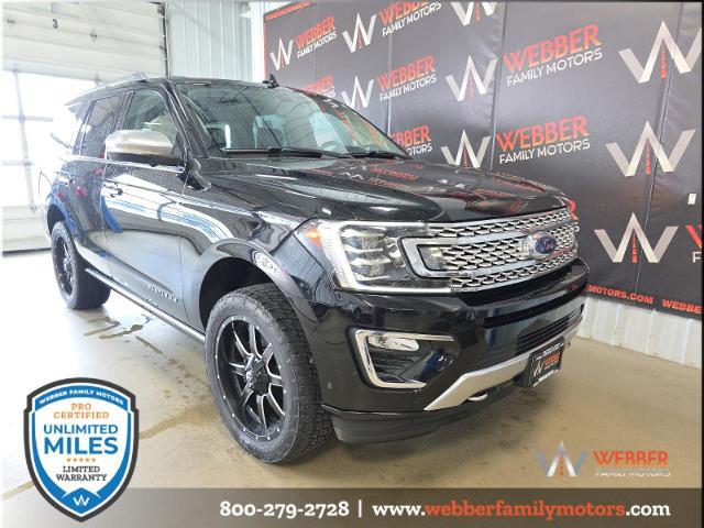 2018 Ford Expedition Platinum for sale in Detroit Lakes, MN