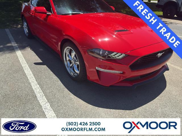 2020 Ford Mustang EcoBoost Fastback for sale in Louisville, KY