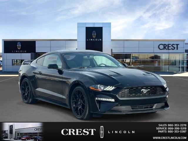 2018 Ford Mustang EcoBoost for sale in Sterling Heights, MI