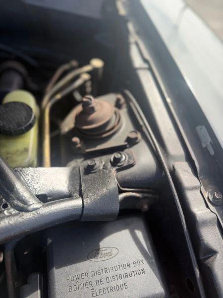 1997 Ford Mustang Cobra