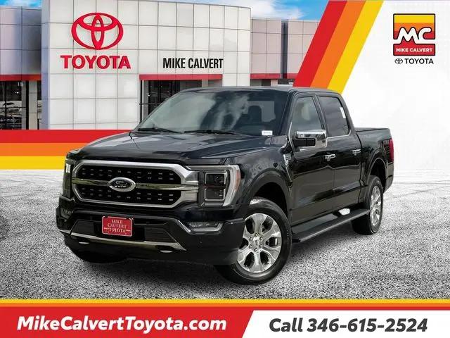 2023 Ford F-150 Platinum for sale in Houston, TX
