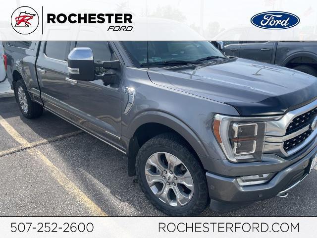 2021 Ford F-150 Platinum for sale in Rochester, MN