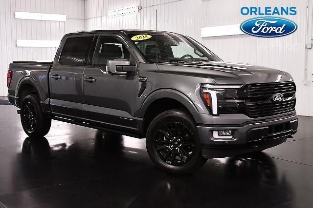 2025 Ford F-150 Platinum for sale in Medina, NY