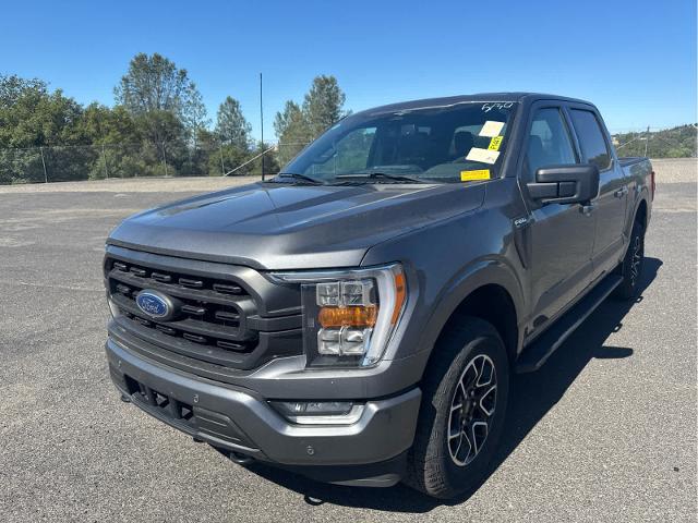 2023 Ford F-150 XLT for sale in Sonora, CA
