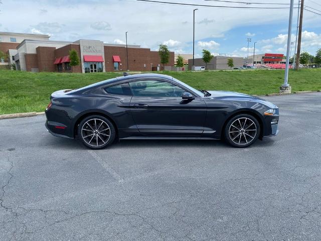 2022 Ford Mustang EcoBoost Fastback
