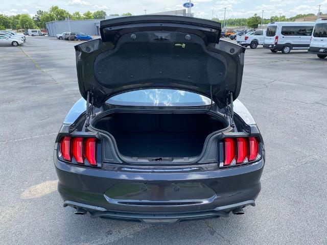 2022 Ford Mustang EcoBoost Fastback