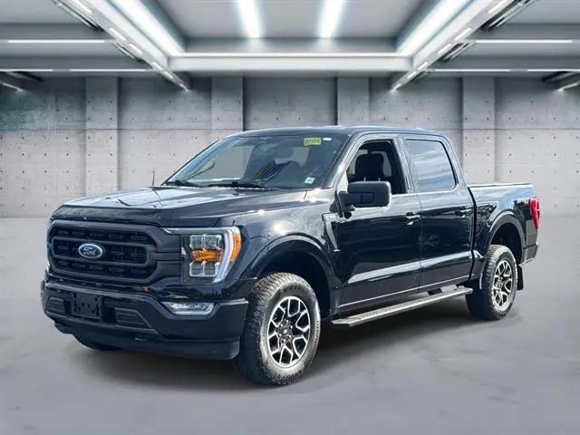 2023 Ford F-150 XLT for sale in Patchogue, NY