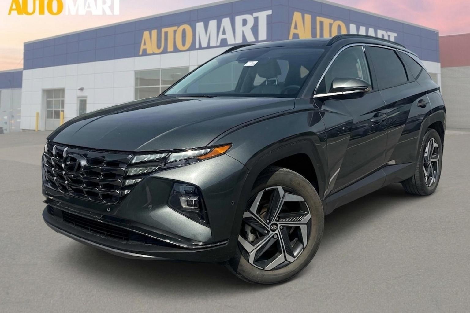 Gray (Amazon Grey) 2023 Hyundai Tucson Hybrid Ultimate AWD SUV / Crossover Automatic