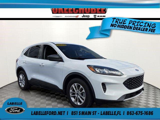 2022 Ford Escape SE for sale in FT DENAUD, FL