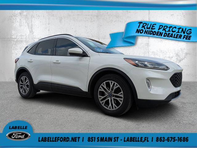 2022 Ford Escape SEL for sale in FT DENAUD, FL
