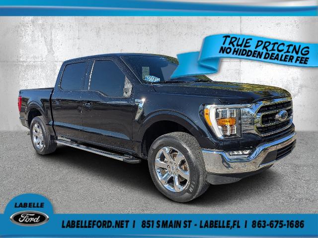 2023 Ford F-150 XLT for sale in FT DENAUD, FL
