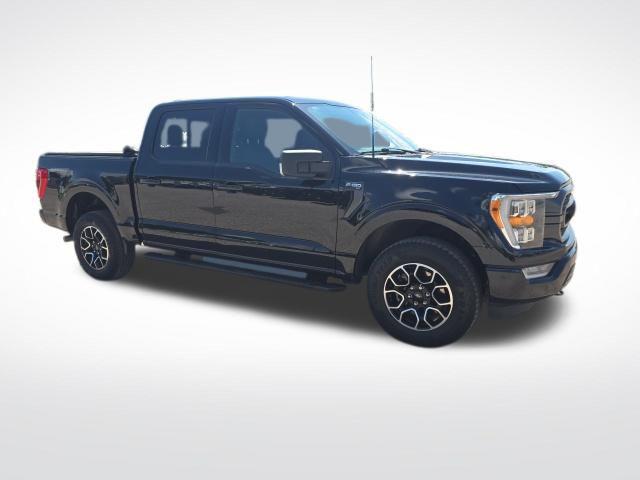 2023 Ford F-150 XLT for sale in Clearwater, FL