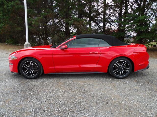 2020 Ford Mustang EcoBoost Premium Convertible 2020 Ford Mustang EcoBoost Premium Convertible