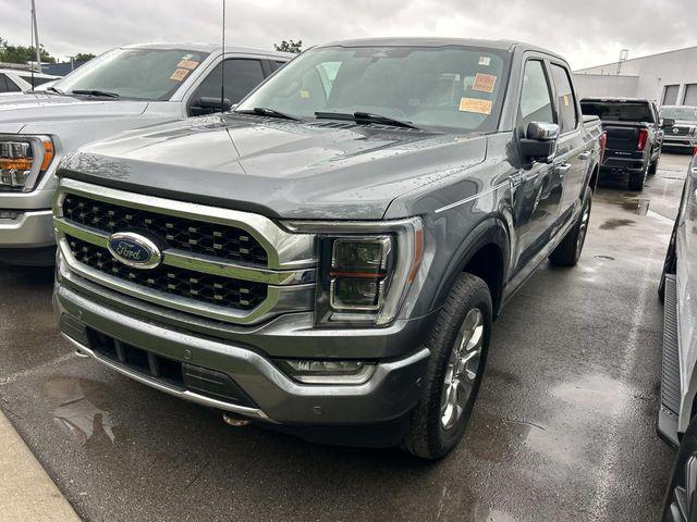 2023 Ford F-150 Platinum for sale in Murfreesboro, TN
